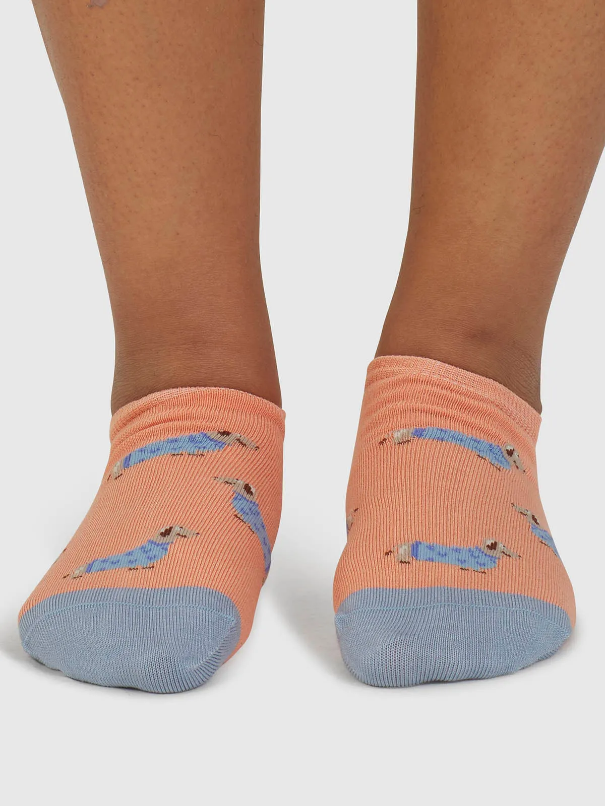 Freda Dachshund Organic Cotton Trainer Socks - Coral Orange