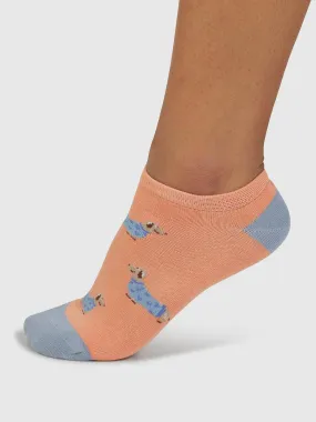 Freda Dachshund Organic Cotton Trainer Socks - Coral Orange