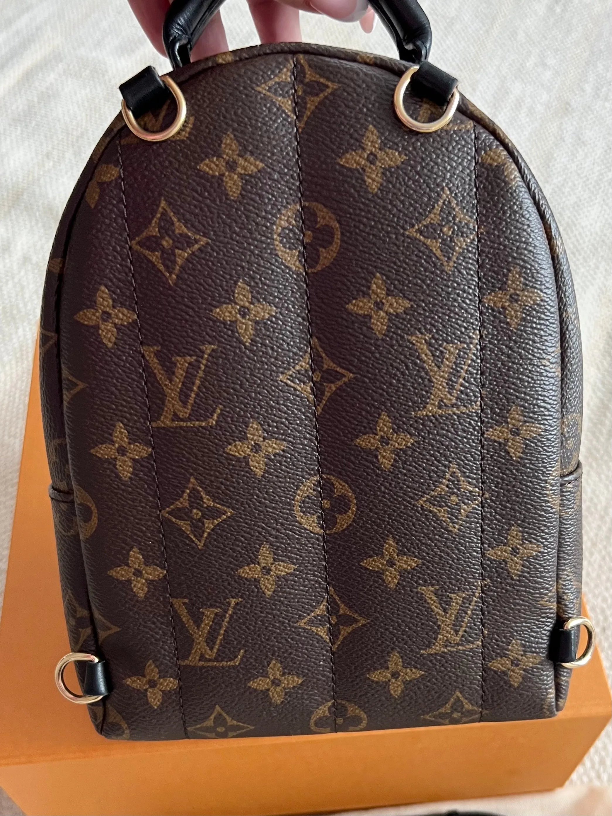 Louis Vuitton Palm Springs Mini Backpack