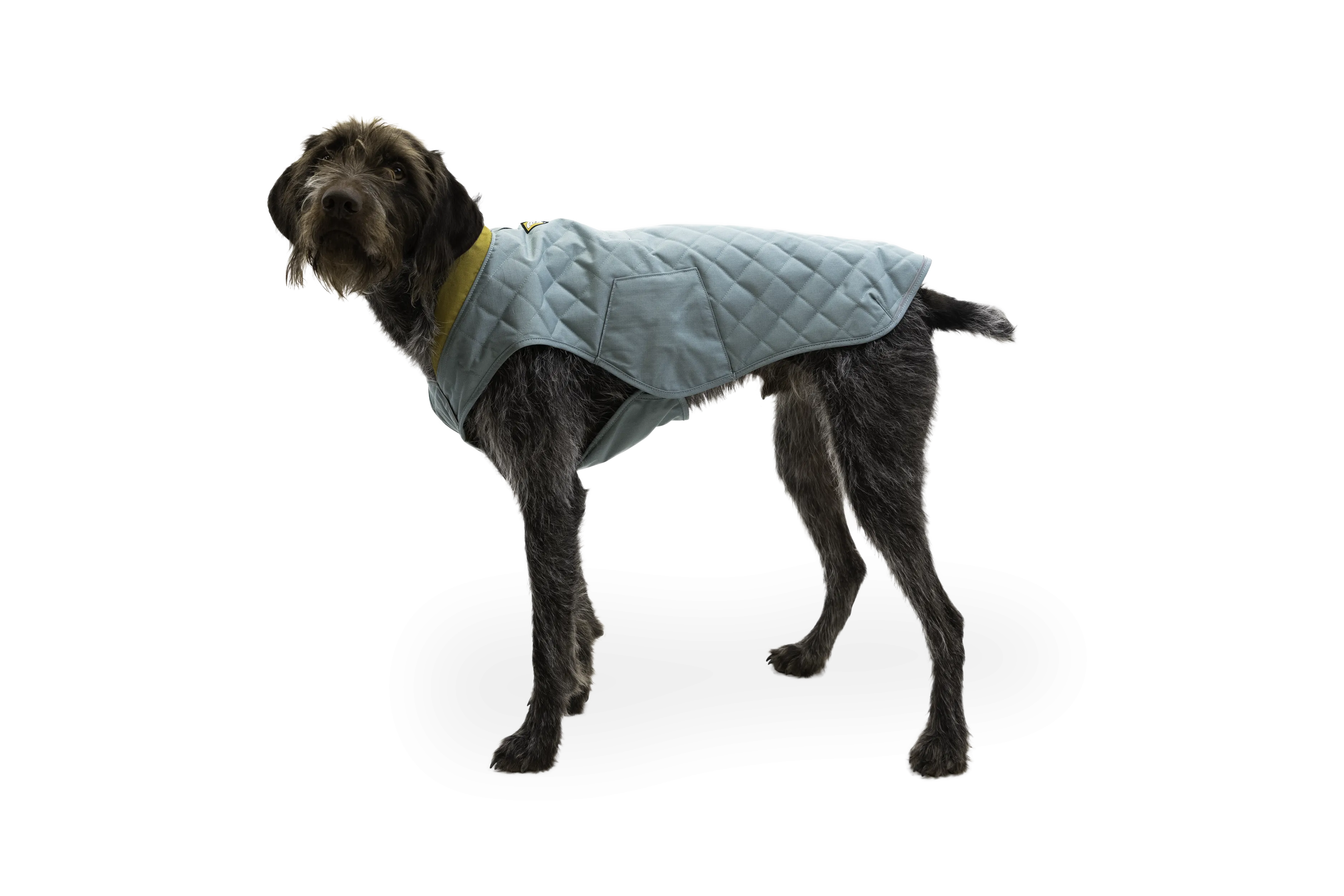 Stumptown™ Quilted Dog Coat