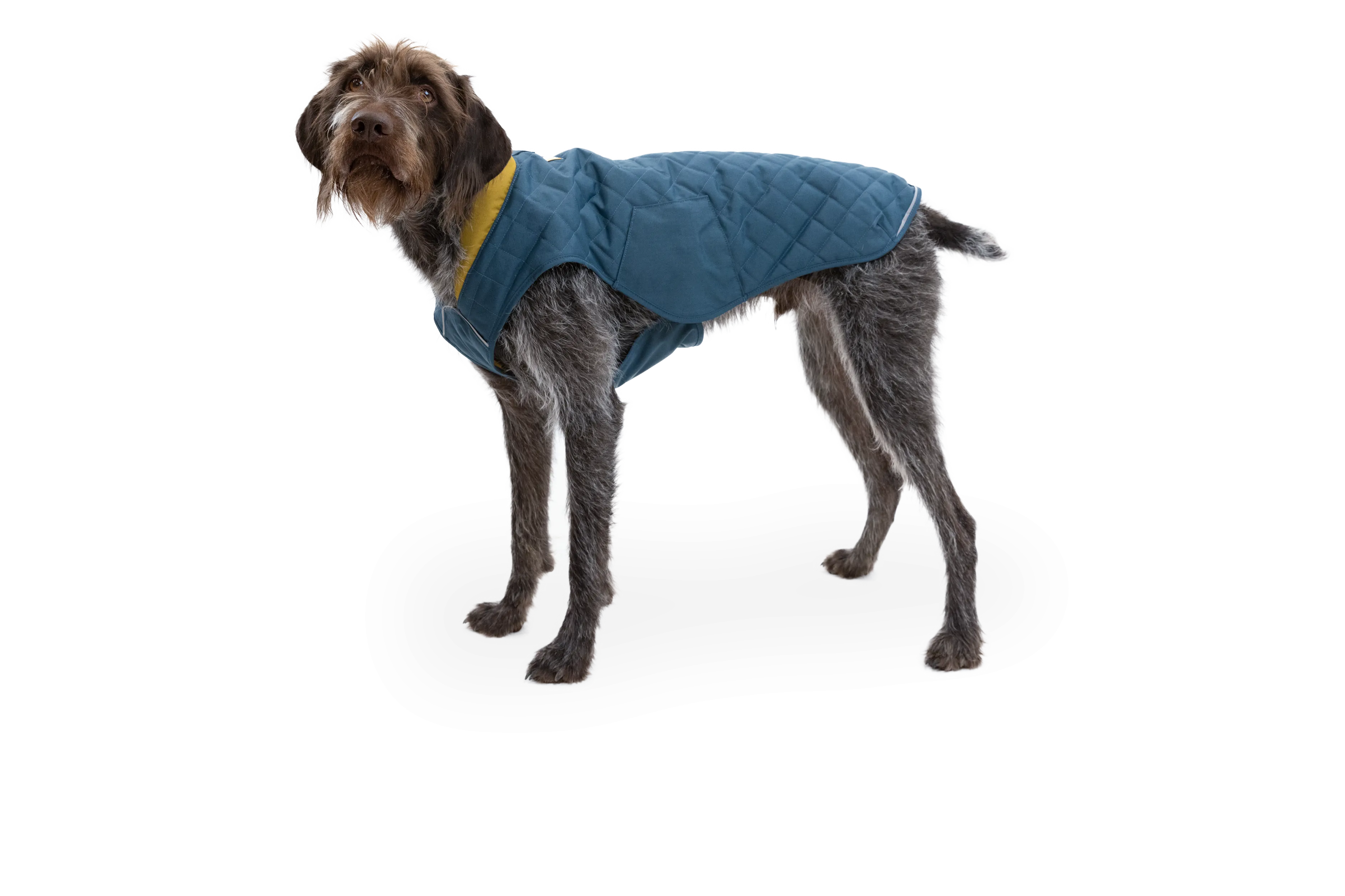 Stumptown™ Quilted Dog Coat